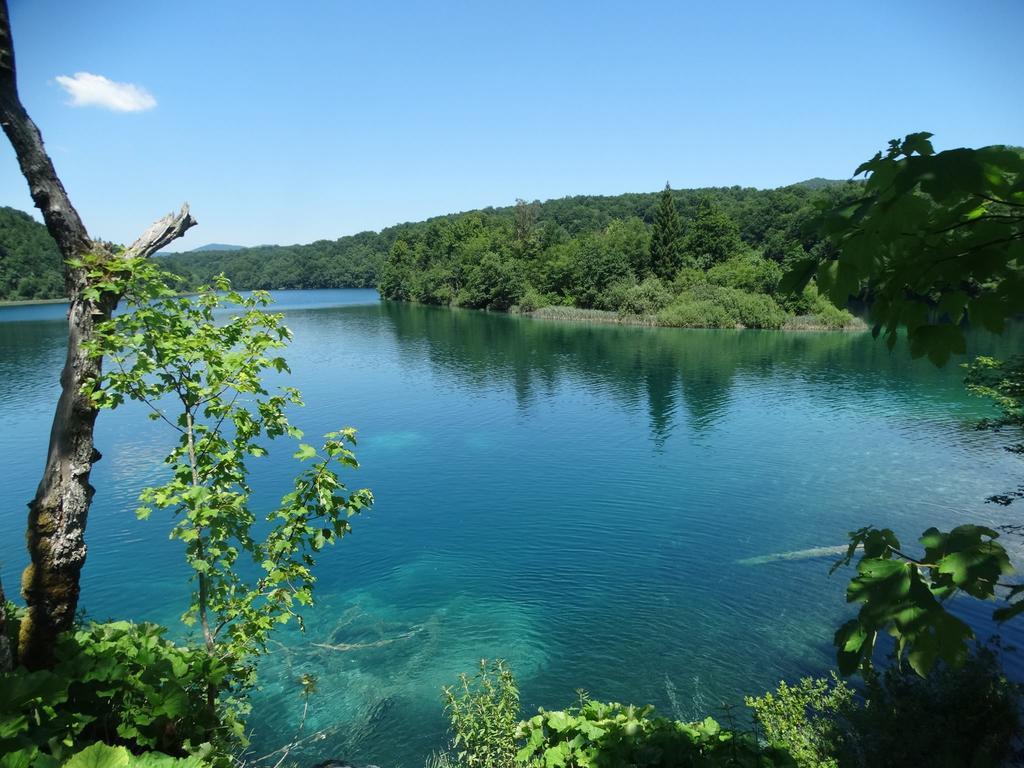 Apartment Plitvice Paradise Rudanovac 외부 사진